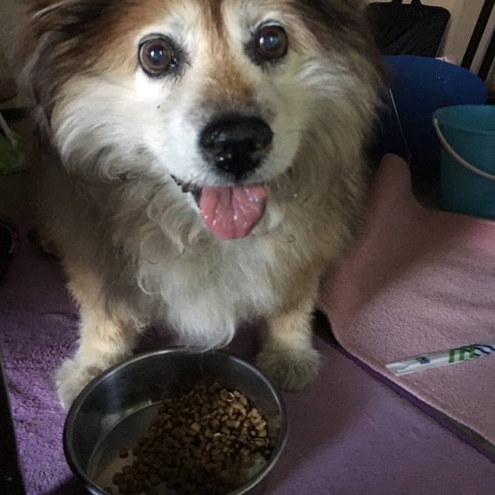 690b188b eee9 4aa4 8759 c9dbf173ce71 1588134130768