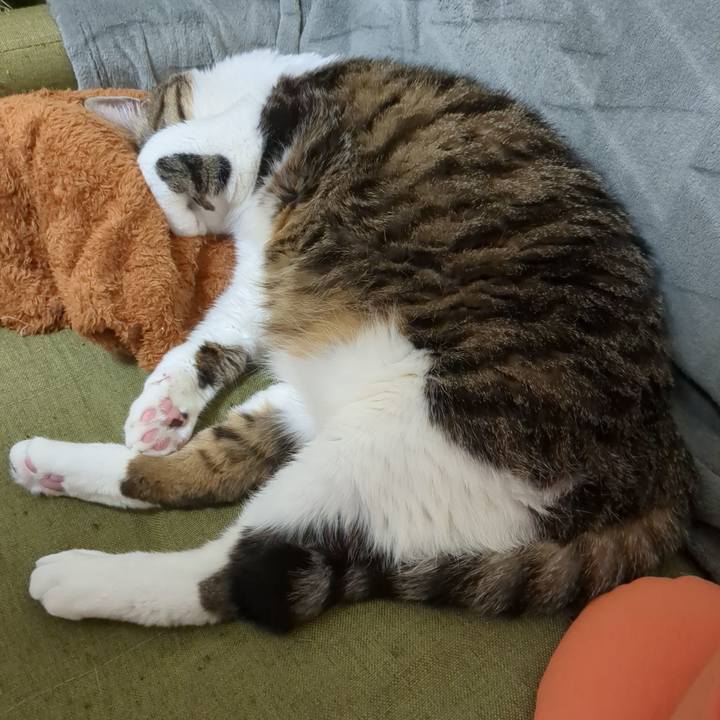 690b2fac 86dc 40a2 926c 608f2af1e6f3 1737079861663