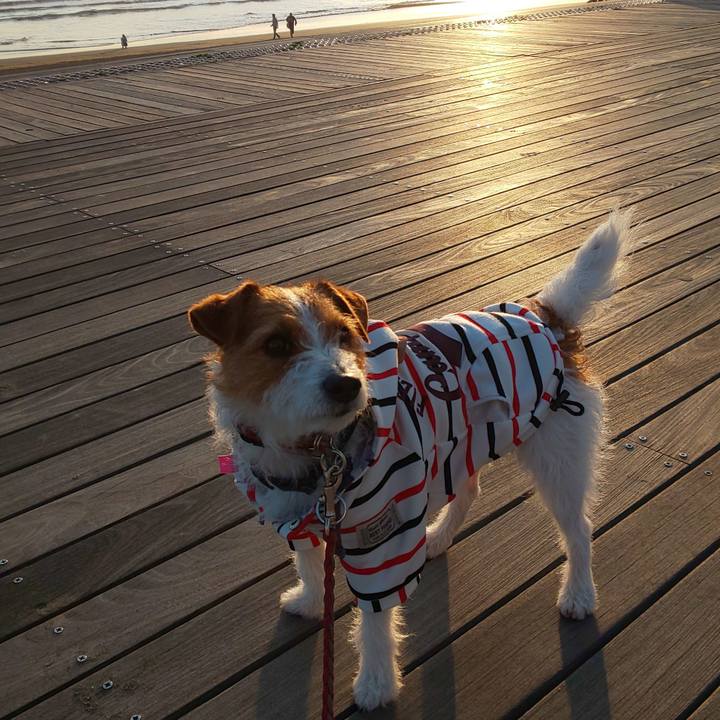 690b4454 967f 4c81 9c3a a042c5a56f69 1555322700879