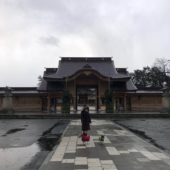 690b555d 3b3b 4096 9379 e791e8d68bec 1578182835588