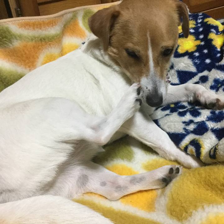 690b66e0 7802 400a 864e ed28804f10c9 1549363783800