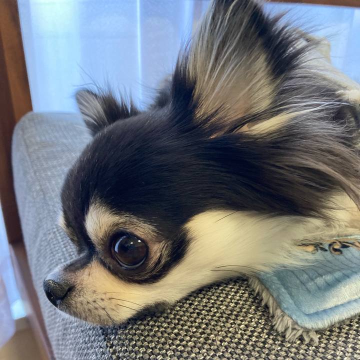 690b693d 135d 4f9a 9322 294808a2aa7f 1640503309090