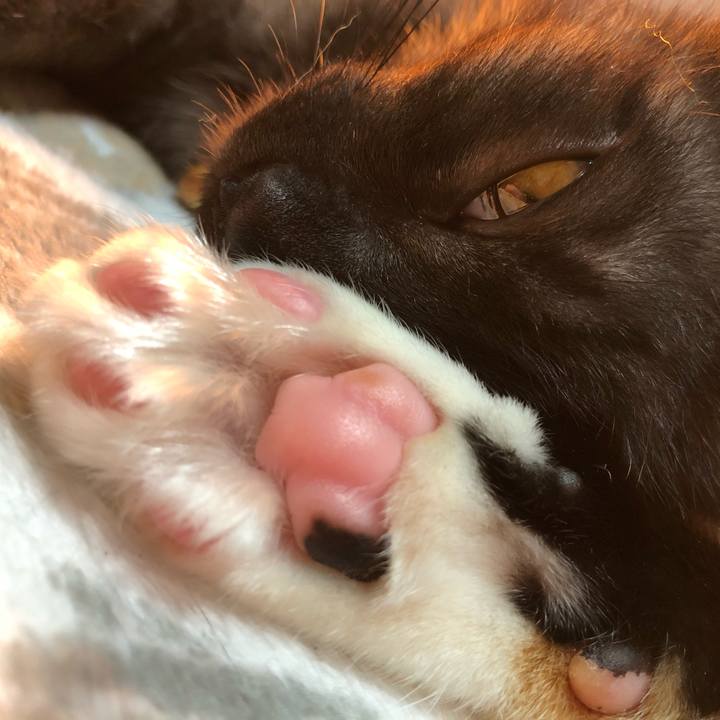 690b915d bb8d 4102 a8ea be196151465c 1607532725188