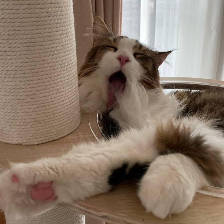 690b95d1 7f5e 46ba 83d0 0d619ea81983 1668031522086