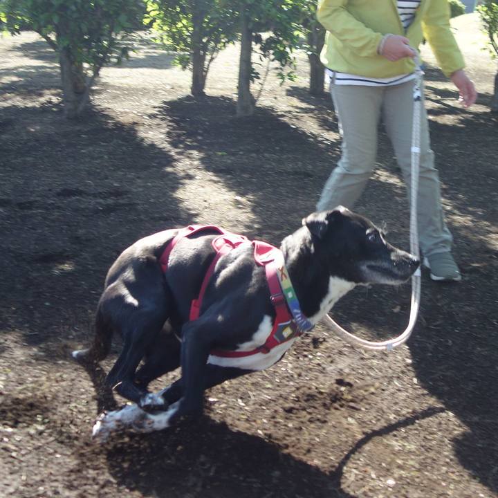 690bbc5e c4d5 4292 a17f f2a65af21481 1682556655472