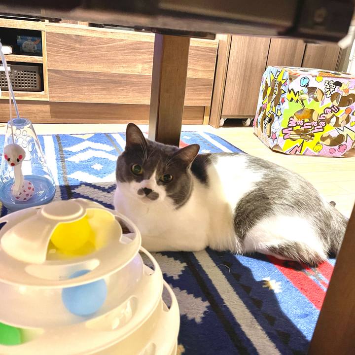 690bc848 e3db 49d2 95c8 aea6045f4eaa 1660829556607