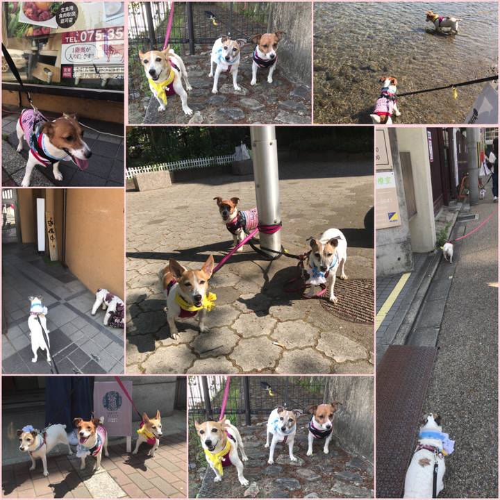 690c2672 485d 4772 beb7 6d90a69a37b4 1524318149179