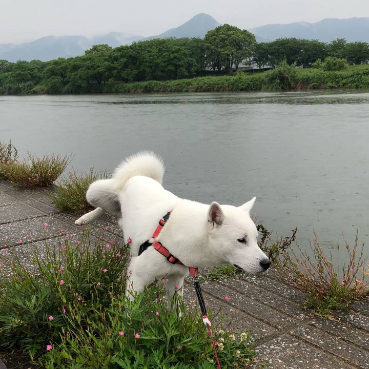 690c753e 9ab2 4793 b37c fca4d6481379 1527293985659