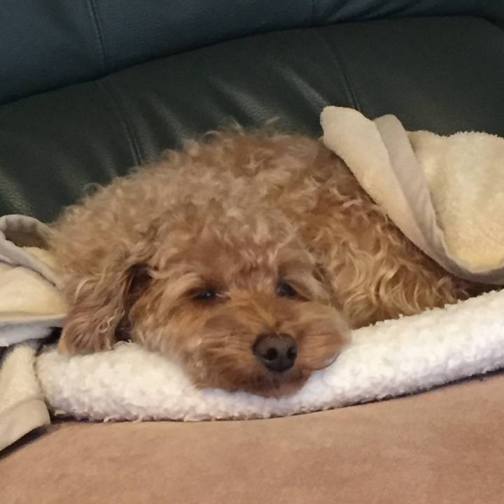 690ca43e 715b 4bad 875f ac329f83d262 1524610251585