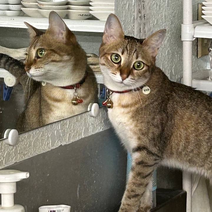 690cbcfc 7d83 46b8 acc7 05d583bb6d04 1694388834221