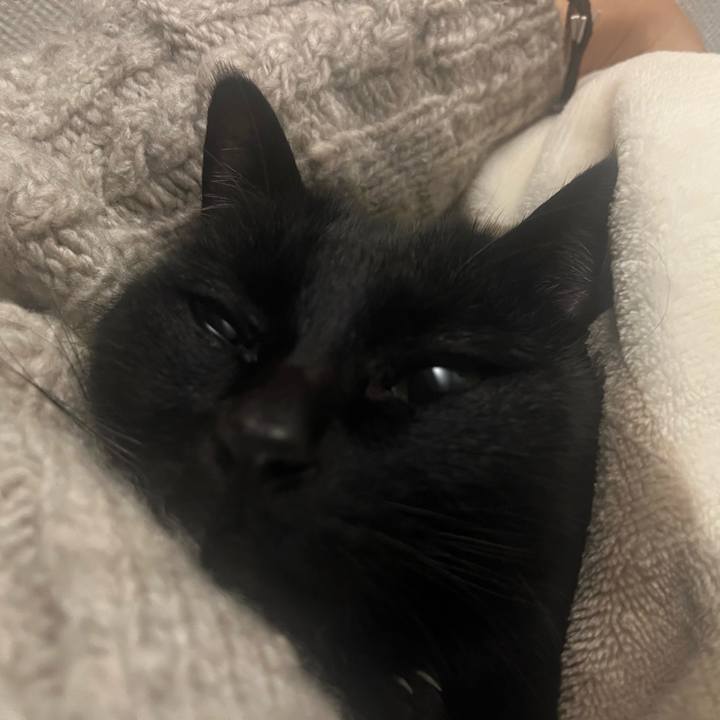 690cc79b 8a49 43e2 9135 8f9ea51684c7 1764983059564