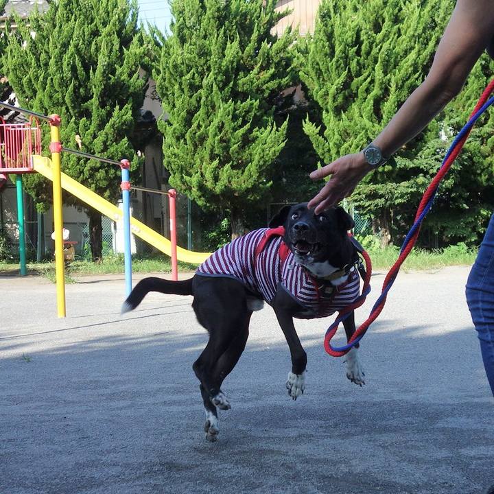 690cce9a 9601 4127 a5a7 a51285cbed3d 1598573402605