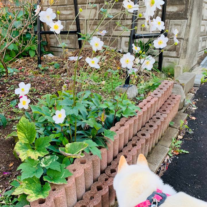 690ceda9 95f3 4882 a491 52710b213f26 1572492174626