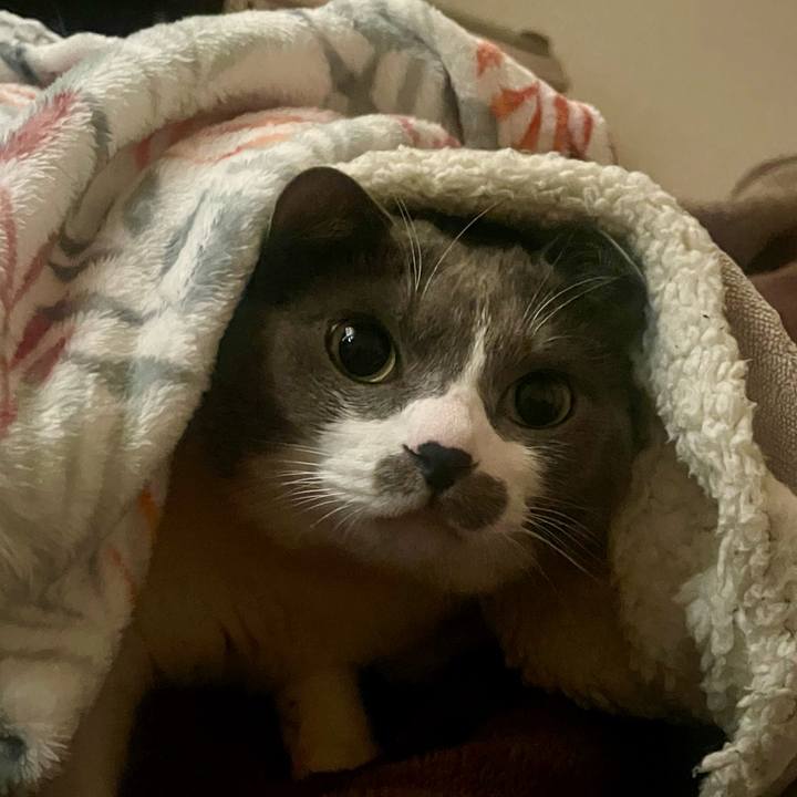 690cf070 171f 4982 ade3 4a63fa91a2ce 1732921989704