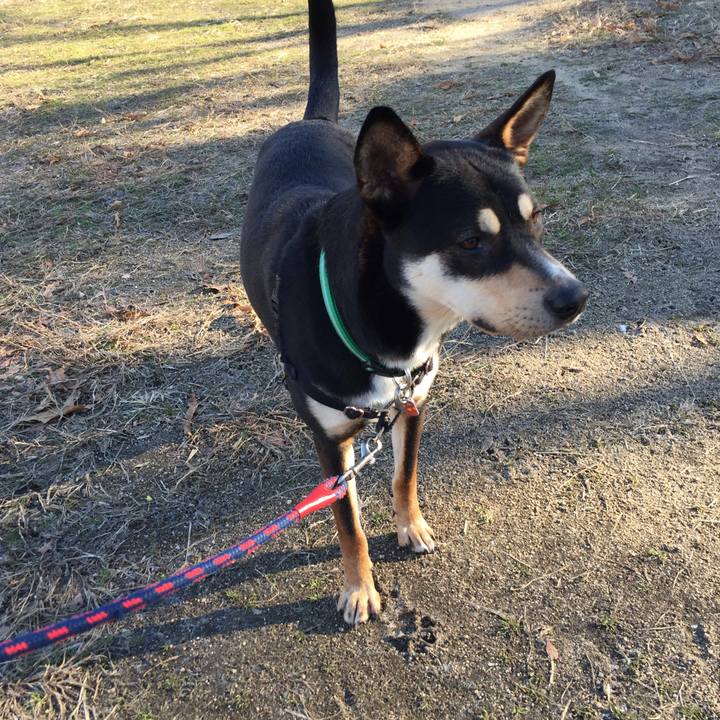 690d30d6 ee0f 4ad9 aa14 9c7995203101 1515635322403