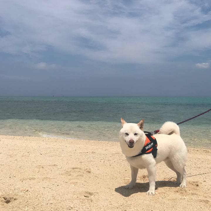 690d390b ef12 49f5 87cc 00e802133516 1525148962363