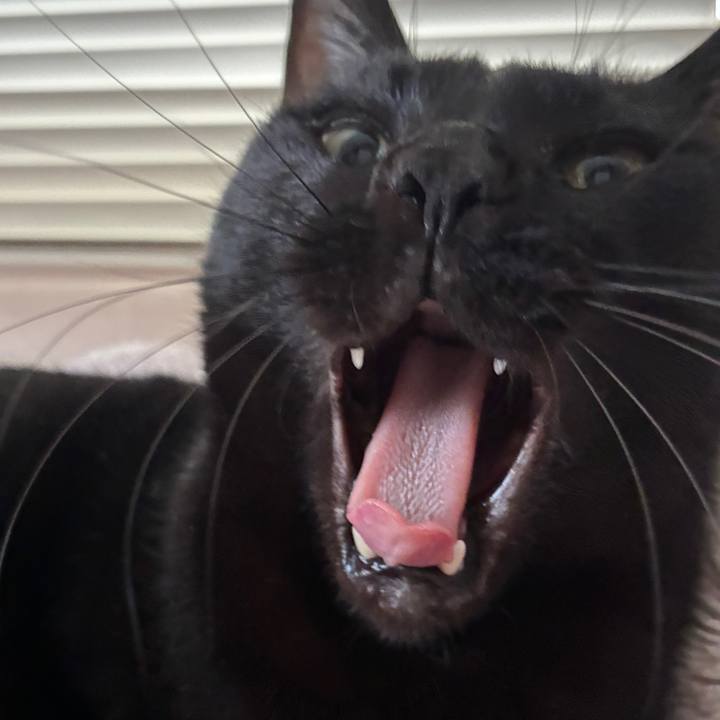 690d3e9b 239e 4d8b 9524 e0bdd820d3c7 1769816198307