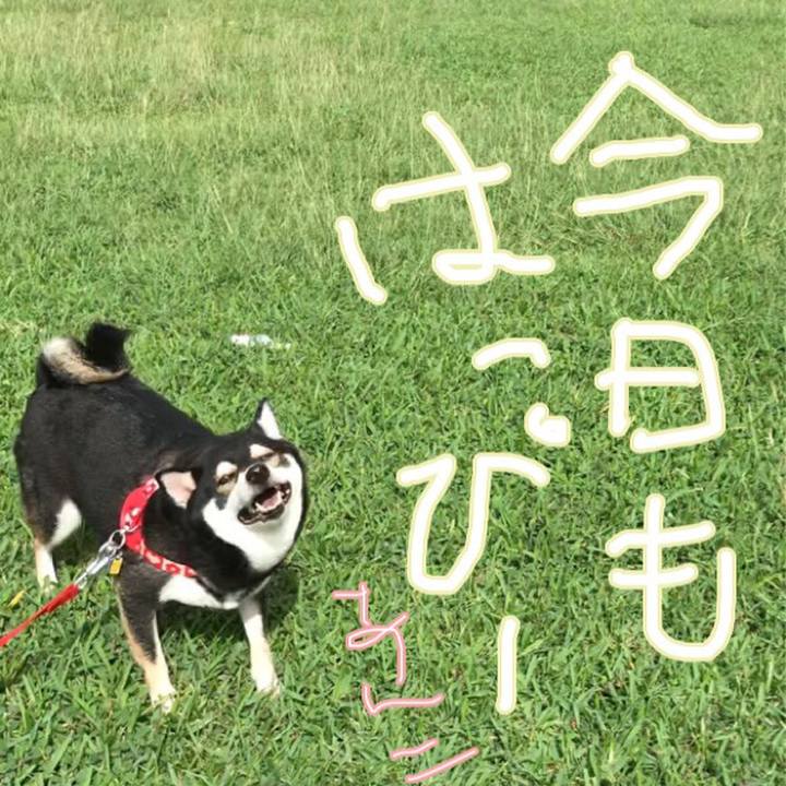 690d7bd5 6551 4c30 a5d4 b18161bca7f3 1510890412614