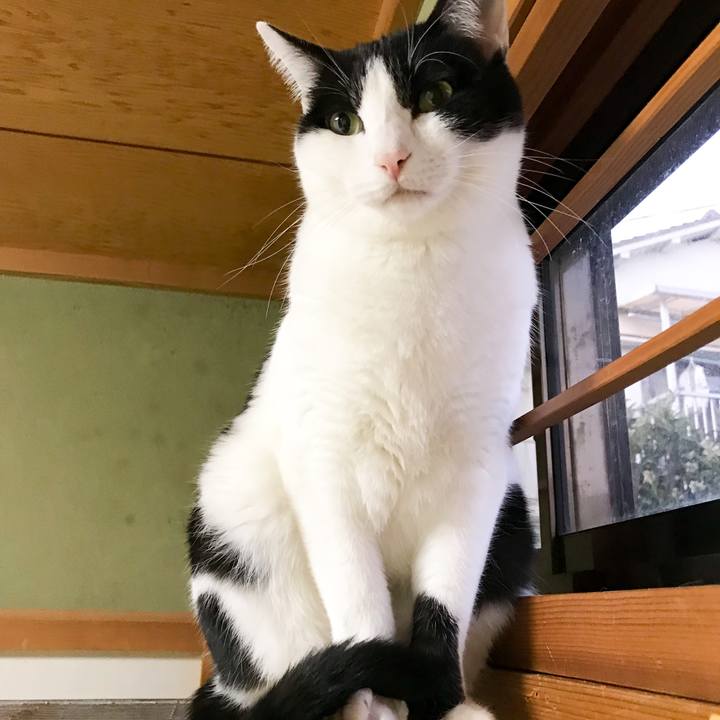 690d89ee 271b 4bac 893a 363b831bd3b9 1512826575032