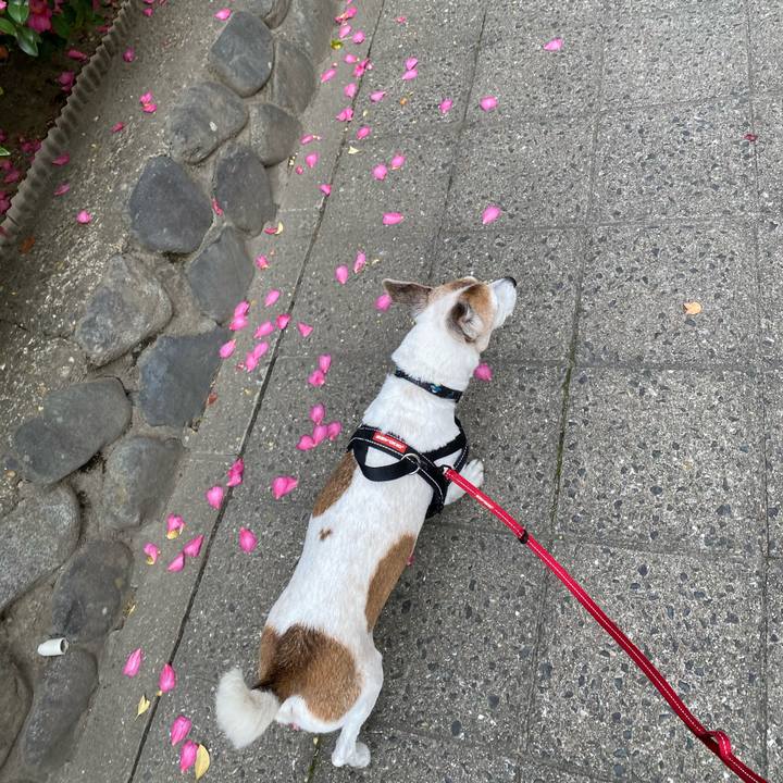 690daad6 e342 45c1 8c4d 1ef089373f28 1607750676468