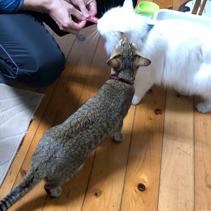 690df46d fc8f 42d2 b442 c63c28b01984 1607868872008