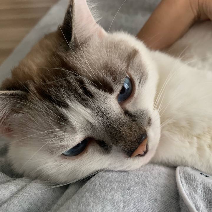 690e146b c536 4483 bcd3 47cc1ffc53ac 1666915200646