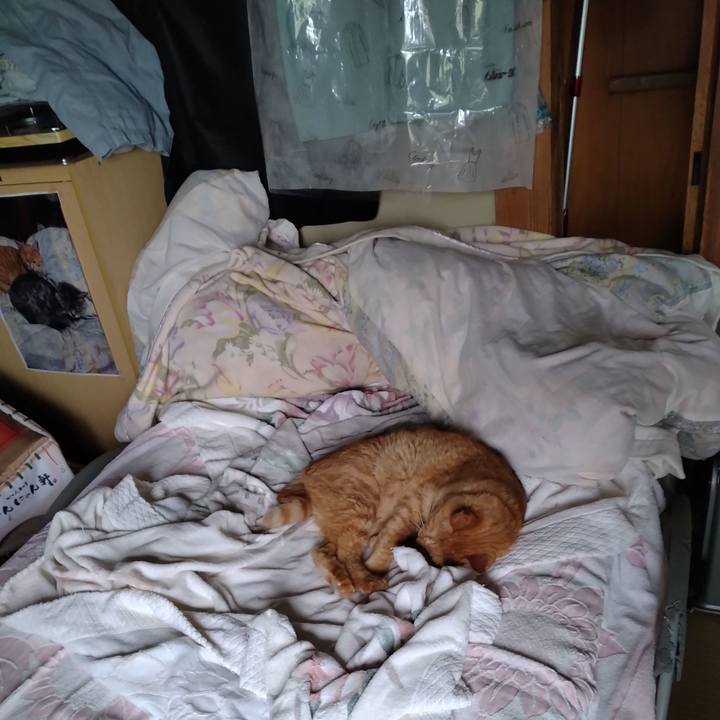 690e3cd5 0f8b 45bb 8200 3e1de78ee627 1695249051904