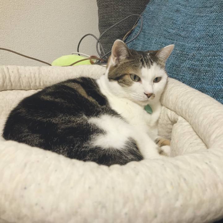 690e4203 1eff 45ae 823e ee443d899fb8 1537262313525