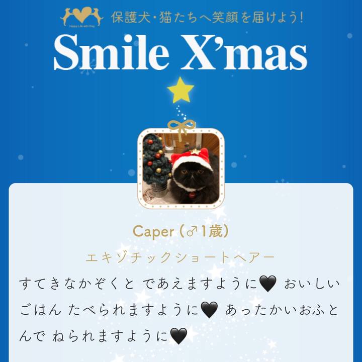 690e5087 39d3 4eda 9284 98e70515ffee 1544774656547