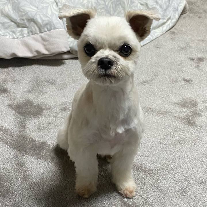 690e6743 dcdc 4c53 8f43 714843648245 1611056664339