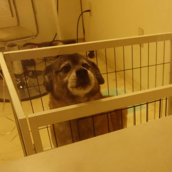 690eb62a 50c4 48b1 9330 8f6a957f6ef3 1556545131147