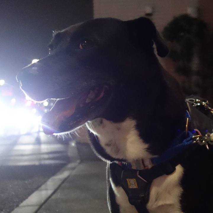 690ebe81 5ea6 474e bc16 f4ad666bcf0e 1664447682363