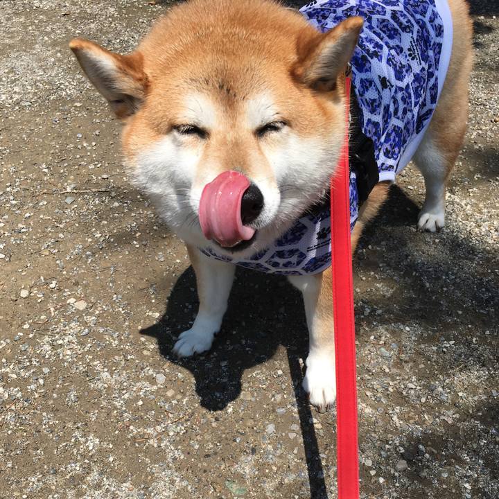 690ecc39 6355 4c1f 8b3e d2420789ba4f 1592629817761