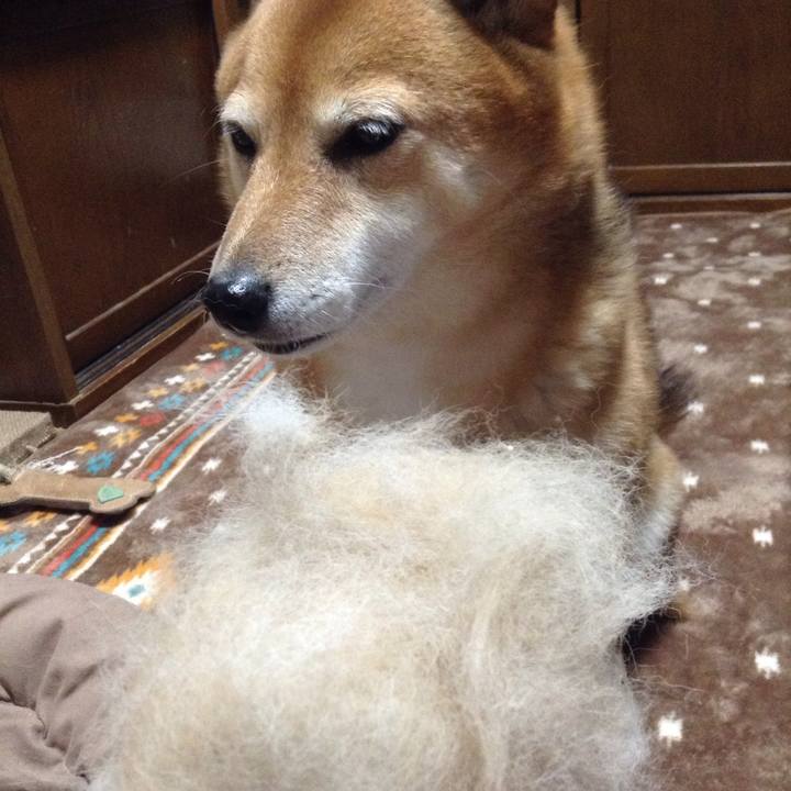 690ecc9f 0b0c 4d94 bce9 ffb84cb4fe62 1542719347325