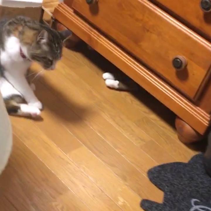 690eec2f 5213 4776 a44a 03cb4daf1a8b 1674538397872