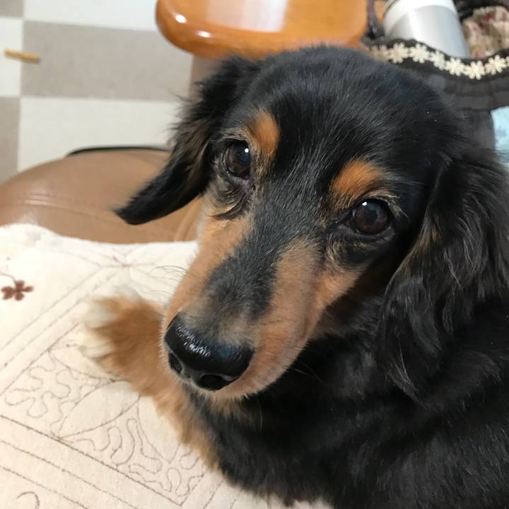 690f05a5 2055 4a12 8643 31be677de22b 1511820257796