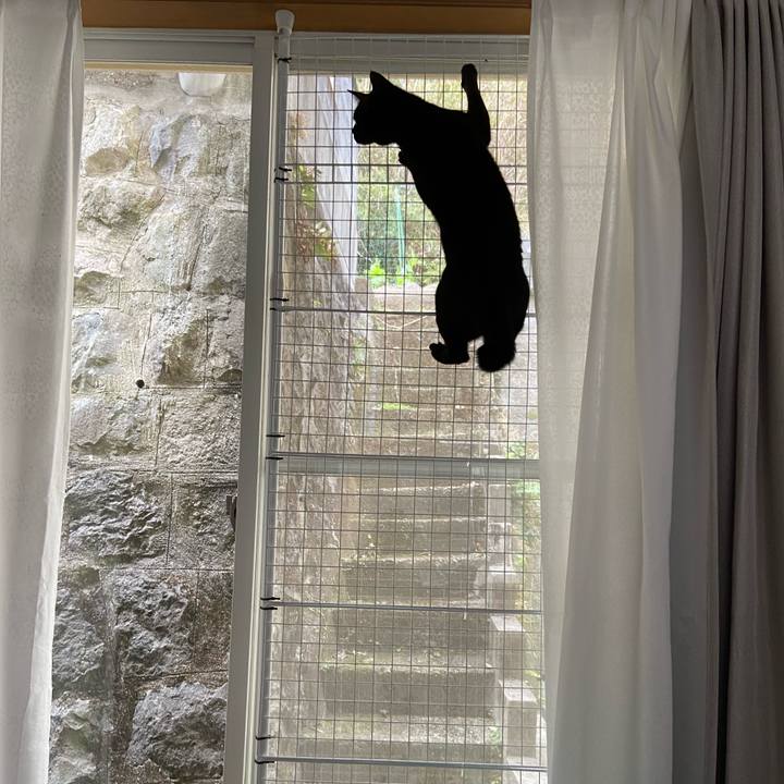 690f0d03 2625 45f7 a8c9 21c22e866878 1643532602152