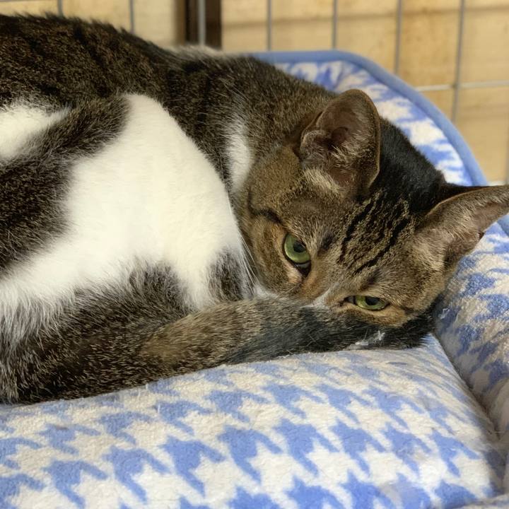 690f25cc 8f0c 4299 abd3 477ad21566f2 1600904348171