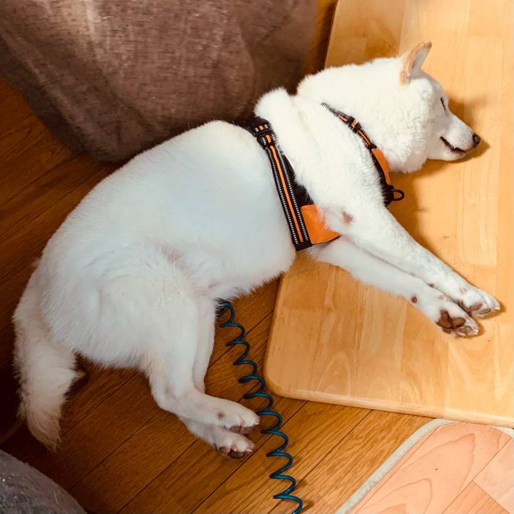 690f3004 aa27 4c5a b5a6 740957dcb5bd 1670632035212