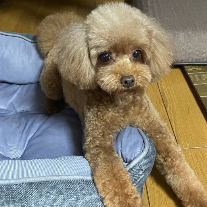 690f5120 6dea 4307 bfa4 2e995db2941f 1657361242196