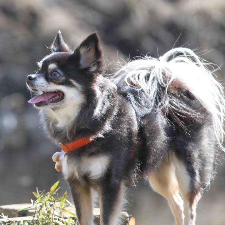 690f82df e43a 4c01 82b9 11e9bfff4fcd 1542766418885