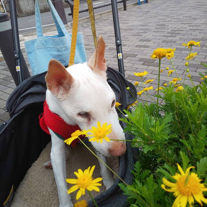 690f8734 b970 4d76 8ff5 c61d32bc2c09 1562979283900