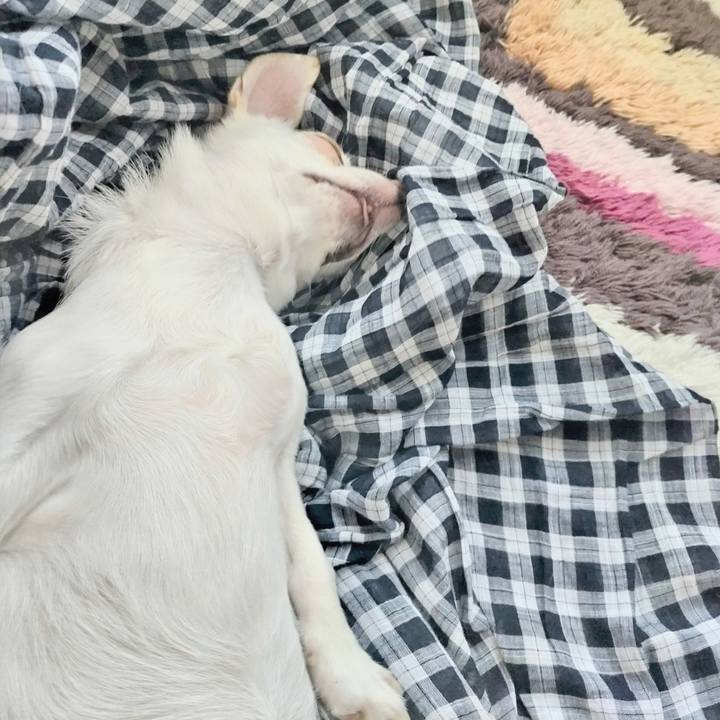 690fac60 282b 4434 8573 72a3eb9ca0ed 1754365480837