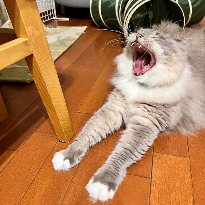 691022e3 1adf 4194 84a4 cd44fe09b19a 1658403102844