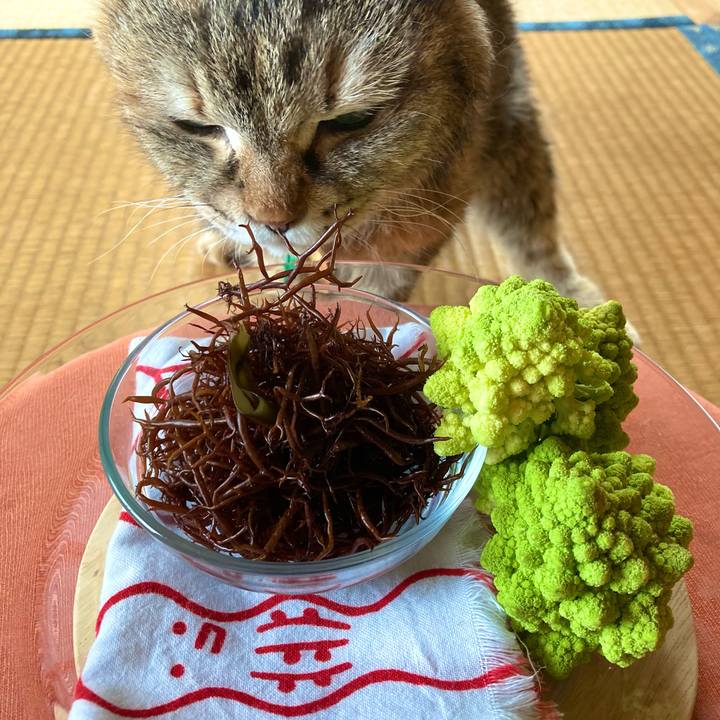 69103e33 e3c9 4bb9 9f58 19c5c399621f 1616379786703