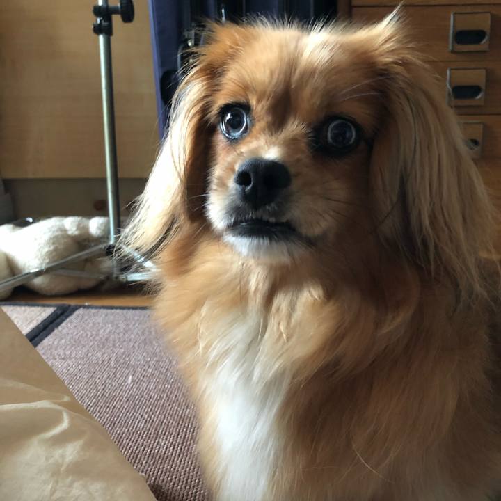 6910479e 7e06 4fd9 a57e e0571acde2e1 1563139372473