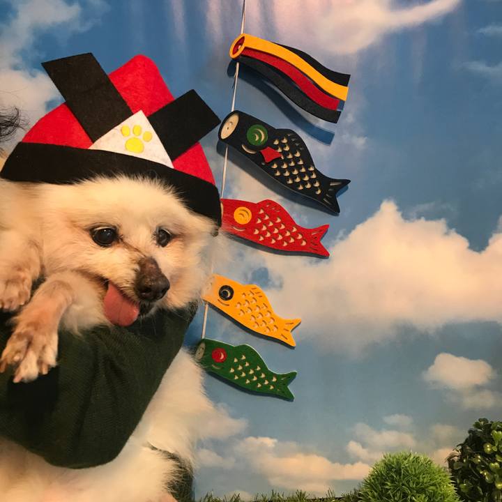 69106483 6d0a 475e aac8 2c16fc9d2094 1525394648603