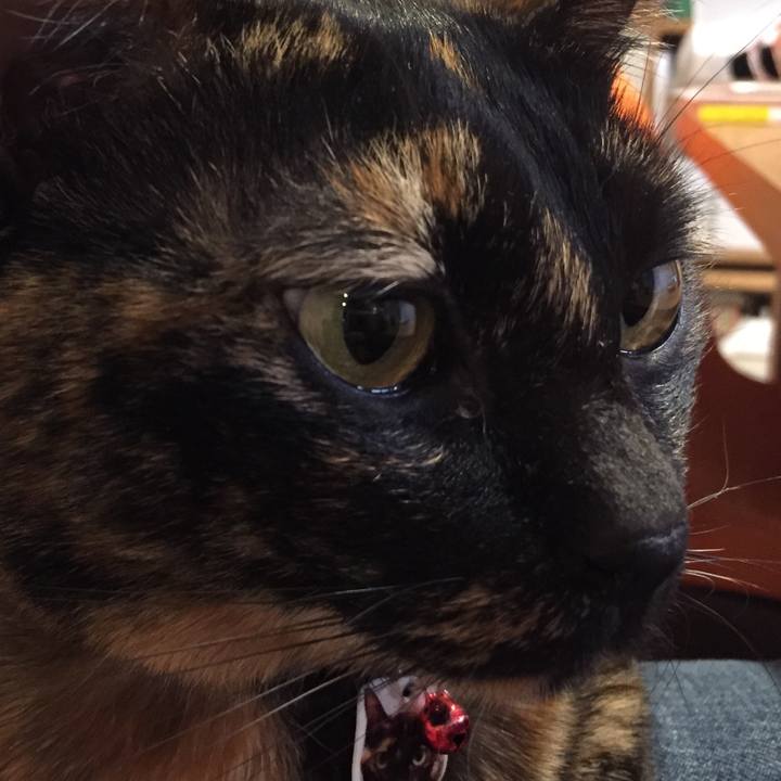 6910ae82 923d 40f5 aac5 392e40f5647c 1543069432484