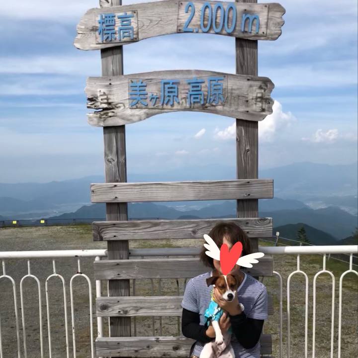 6910e541 5cf9 40e3 983a b304edde40cf 1532497797623