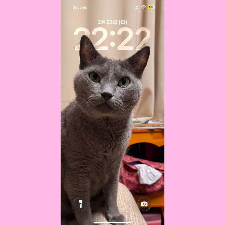 69112414 b28a 411a b534 ece360a6681c 1771766709345